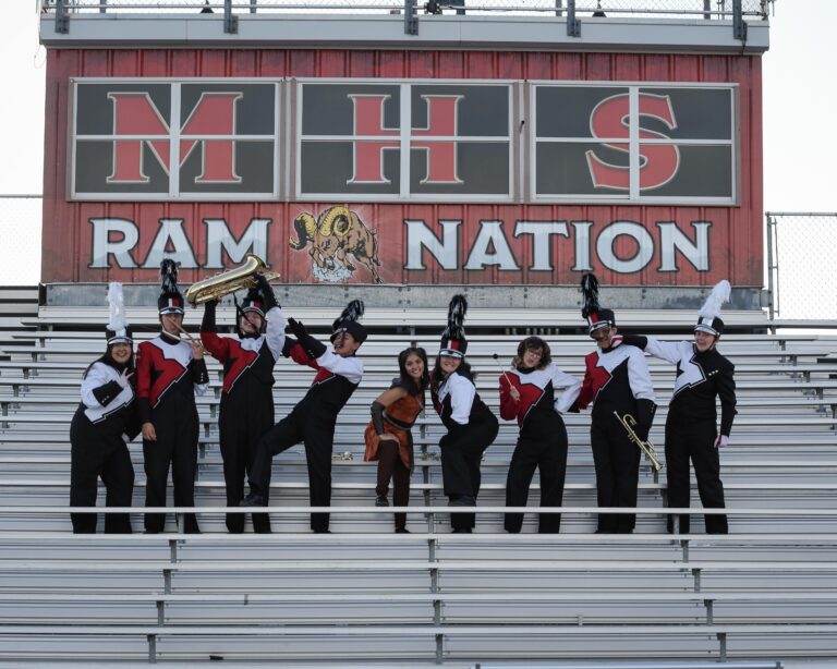 SillyBandSeniorsGroup